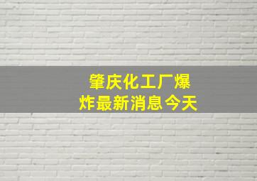 肇庆化工厂爆炸最新消息今天