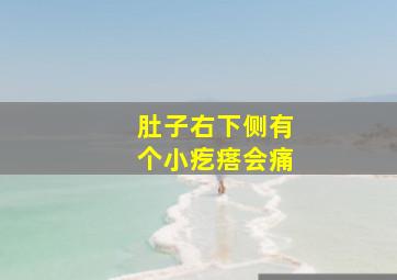 肚子右下侧有个小疙瘩会痛