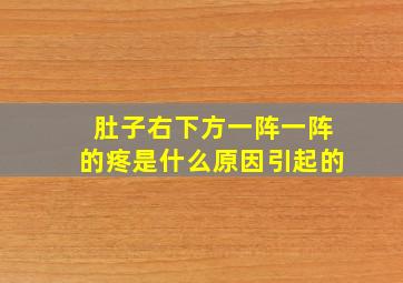 肚子右下方一阵一阵的疼是什么原因引起的