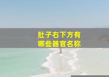 肚子右下方有哪些器官名称