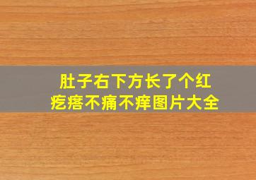 肚子右下方长了个红疙瘩不痛不痒图片大全