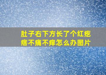 肚子右下方长了个红疙瘩不痛不痒怎么办图片