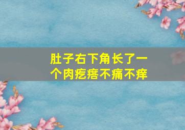 肚子右下角长了一个肉疙瘩不痛不痒