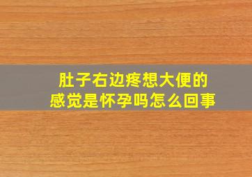 肚子右边疼想大便的感觉是怀孕吗怎么回事