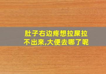 肚子右边疼想拉屎拉不出来,大便去哪了呢