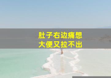 肚子右边痛想大便又拉不出