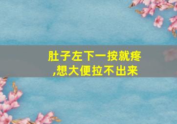 肚子左下一按就疼,想大便拉不出来