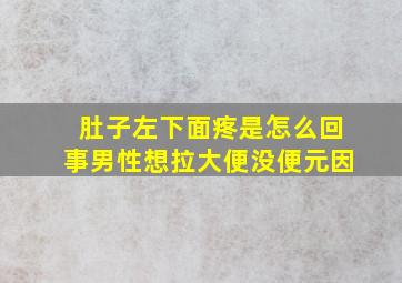 肚子左下面疼是怎么回事男性想拉大便没便元因