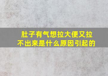 肚子有气想拉大便又拉不出来是什么原因引起的