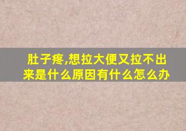 肚子疼,想拉大便又拉不出来是什么原因有什么怎么办