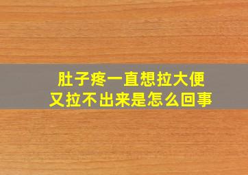 肚子疼一直想拉大便又拉不出来是怎么回事