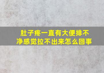 肚子疼一直有大便排不净感觉拉不出来怎么回事