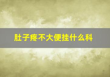 肚子疼不大便挂什么科