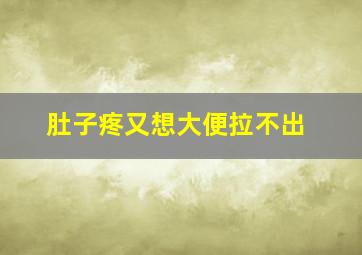 肚子疼又想大便拉不出