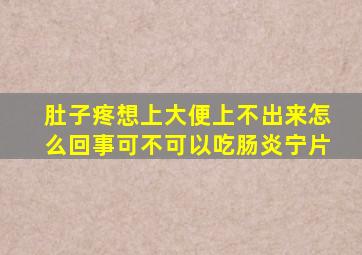 肚子疼想上大便上不出来怎么回事可不可以吃肠炎宁片