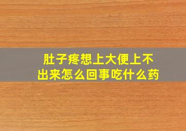 肚子疼想上大便上不出来怎么回事吃什么药