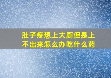 肚子疼想上大厕但是上不出来怎么办吃什么药