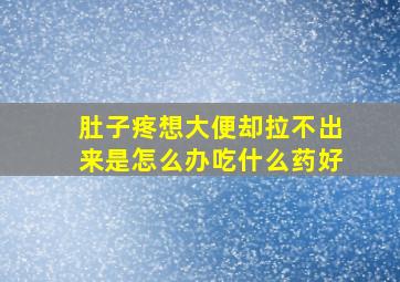 肚子疼想大便却拉不出来是怎么办吃什么药好