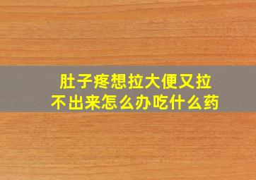 肚子疼想拉大便又拉不出来怎么办吃什么药