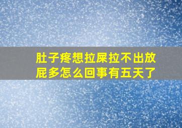 肚子疼想拉屎拉不出放屁多怎么回事有五天了