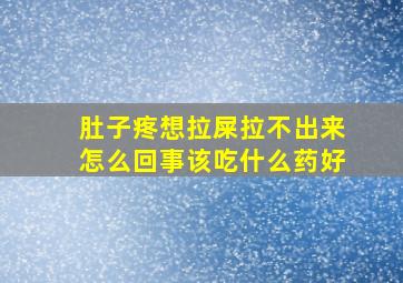 肚子疼想拉屎拉不出来怎么回事该吃什么药好