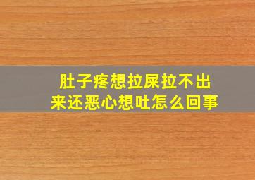 肚子疼想拉屎拉不出来还恶心想吐怎么回事