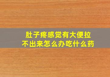 肚子疼感觉有大便拉不出来怎么办吃什么药