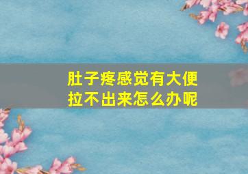 肚子疼感觉有大便拉不出来怎么办呢