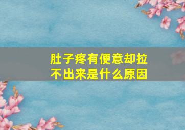 肚子疼有便意却拉不出来是什么原因