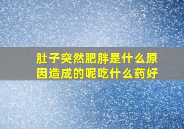 肚子突然肥胖是什么原因造成的呢吃什么药好