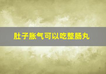 肚子胀气可以吃整肠丸