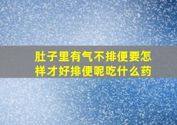 肚子里有气不排便要怎样才好排便呢吃什么药