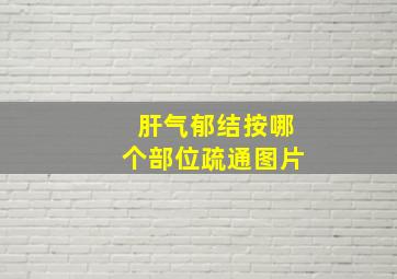 肝气郁结按哪个部位疏通图片