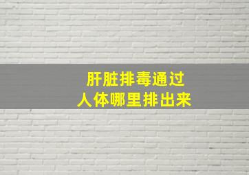 肝脏排毒通过人体哪里排出来