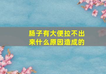 肠子有大便拉不出来什么原因造成的