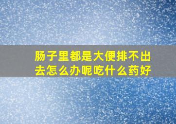 肠子里都是大便排不出去怎么办呢吃什么药好