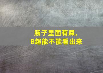 肠子里面有屎,B超能不能看出来