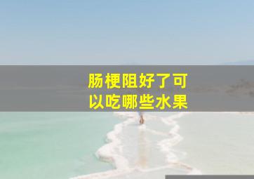 肠梗阻好了可以吃哪些水果