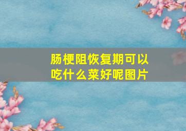 肠梗阻恢复期可以吃什么菜好呢图片