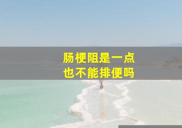 肠梗阻是一点也不能排便吗