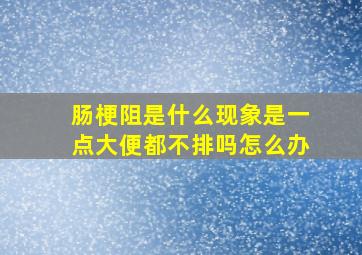 肠梗阻是什么现象是一点大便都不排吗怎么办