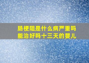 肠梗阻是什么病严重吗能治好吗十三天的婴儿