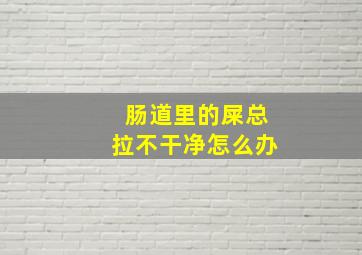 肠道里的屎总拉不干净怎么办