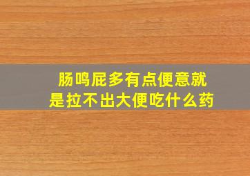 肠鸣屁多有点便意就是拉不出大便吃什么药