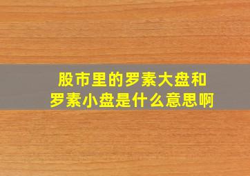 股市里的罗素大盘和罗素小盘是什么意思啊