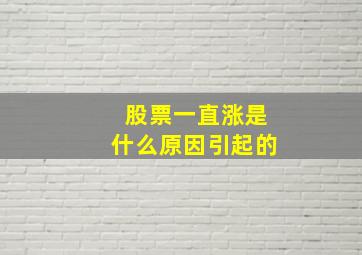 股票一直涨是什么原因引起的