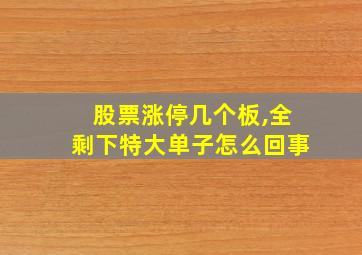 股票涨停几个板,全剩下特大单子怎么回事