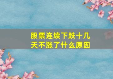 股票连续下跌十几天不涨了什么原因