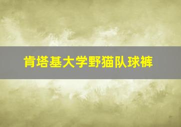 肯塔基大学野猫队球裤