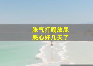 胀气打嗝放屁恶心好几天了